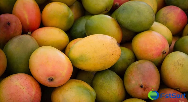 images/1697444703670mango sorting machine.jpg